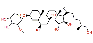 Echinasteroside C